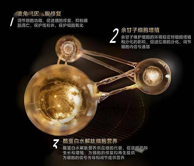 今日外汇行情揭秘，怎样抓住赚钱机会？